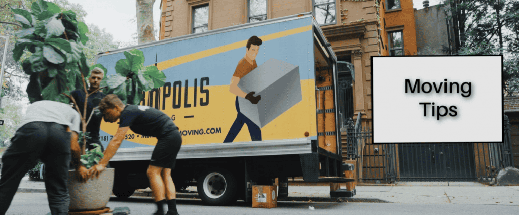 Hire a Professional Mover